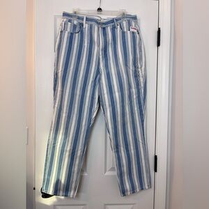 American Eagle Outfitters Blue and White Striped Pants